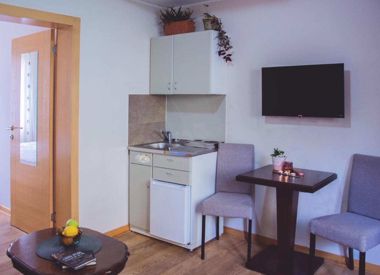 Vila Ljubica Vrnjacka Banja Ngoại thất bức ảnh