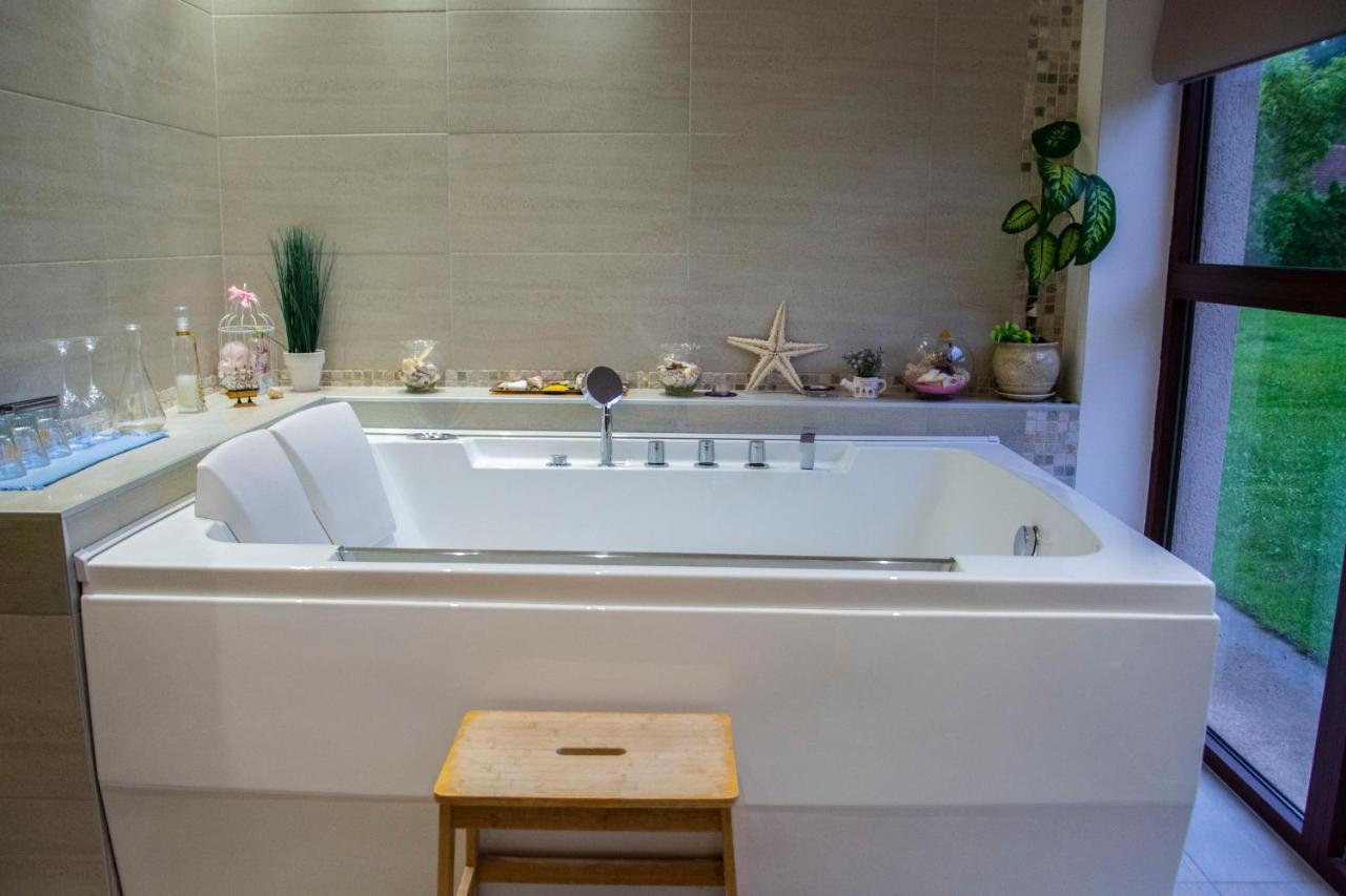 Vila Ljubica Vrnjacka Banja Ngoại thất bức ảnh